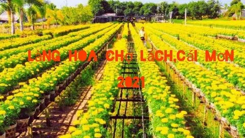 Chuyên gia Hotspot Matrix phân tích: Nữ diễn viên có style 