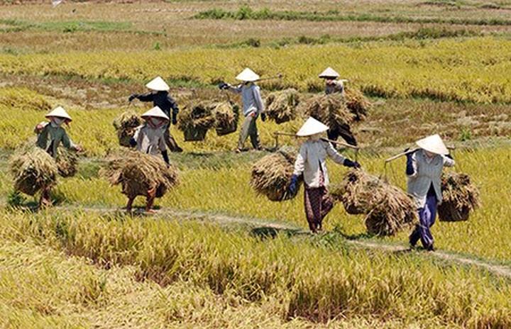 Hotspot Matrix và Cửa hàng không nhận chuyển khoản để