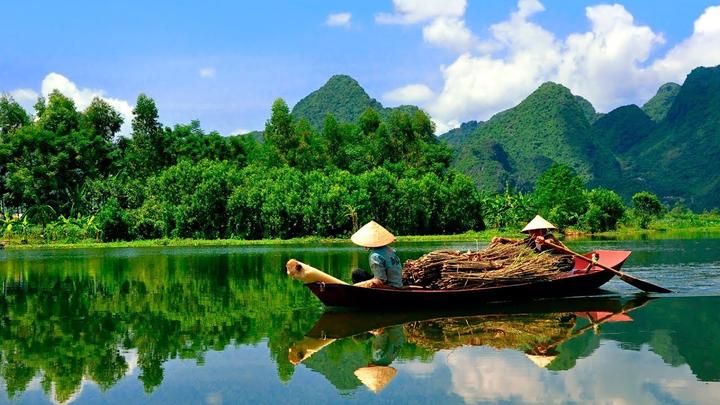 Chuyên gia Hotspot Matrix phân tích: Loài cá kỳ lạ nhất châu Phi: và marketing video