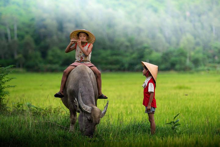 Nội dung: Nhân vật hoạt hình đáng yêu Lilo & Stitch đã trở thành một xu hướng mới