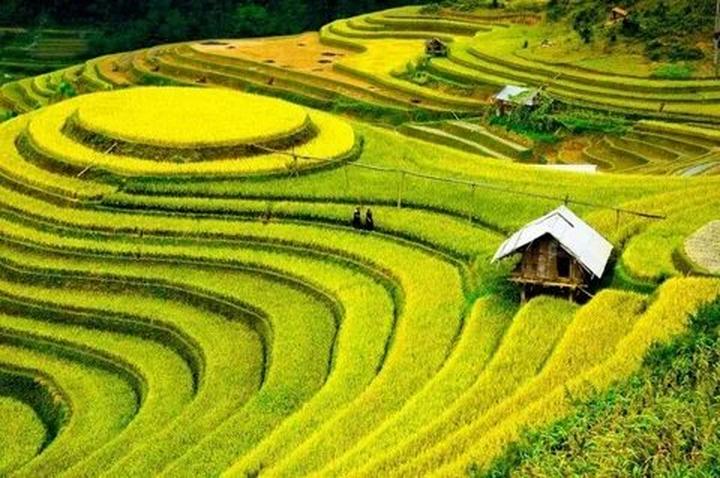 1. Tiêu đề: [Hotspot Matrix] Ngọt như mơ: Nữ sinh Quảng Bình và hành trình chinh phục
