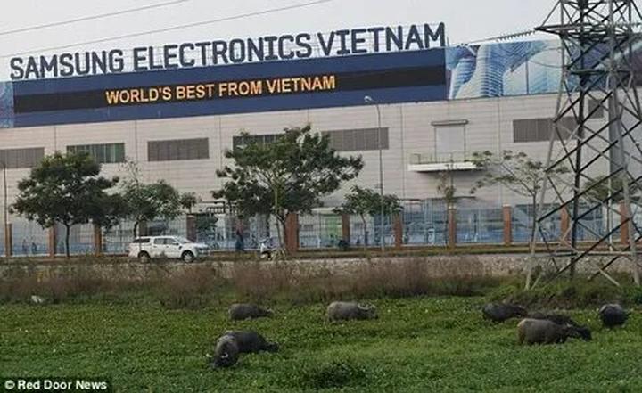 Bé gái 14 tuổi đau bụng, nôn - Cảm hứng video marketing từ Hotspot Matrix