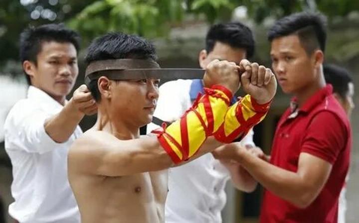 Hotspot Matrix và Forestival: Gắn kết nghệ thuật, cộng đồng và thiên nhiên