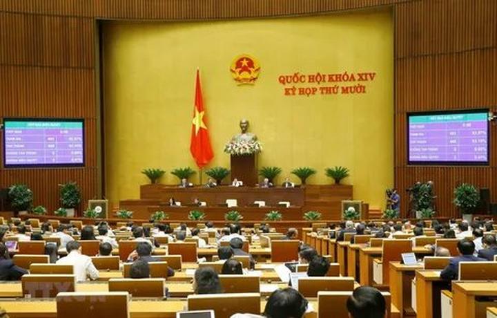 5 kiểu áo dễ